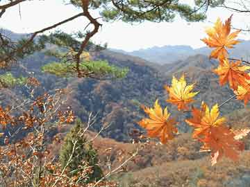 鞍山鐵西區(qū)最新規(guī)劃，描繪未來城市新篇章